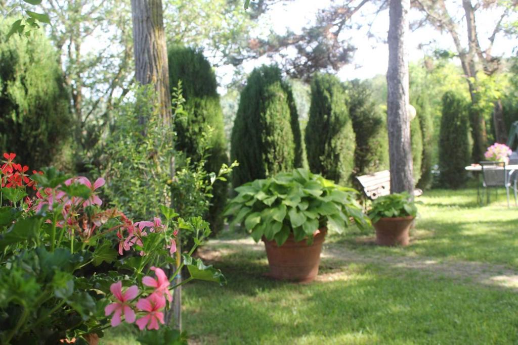 Agriturismo La Selva Сиена Экстерьер фото