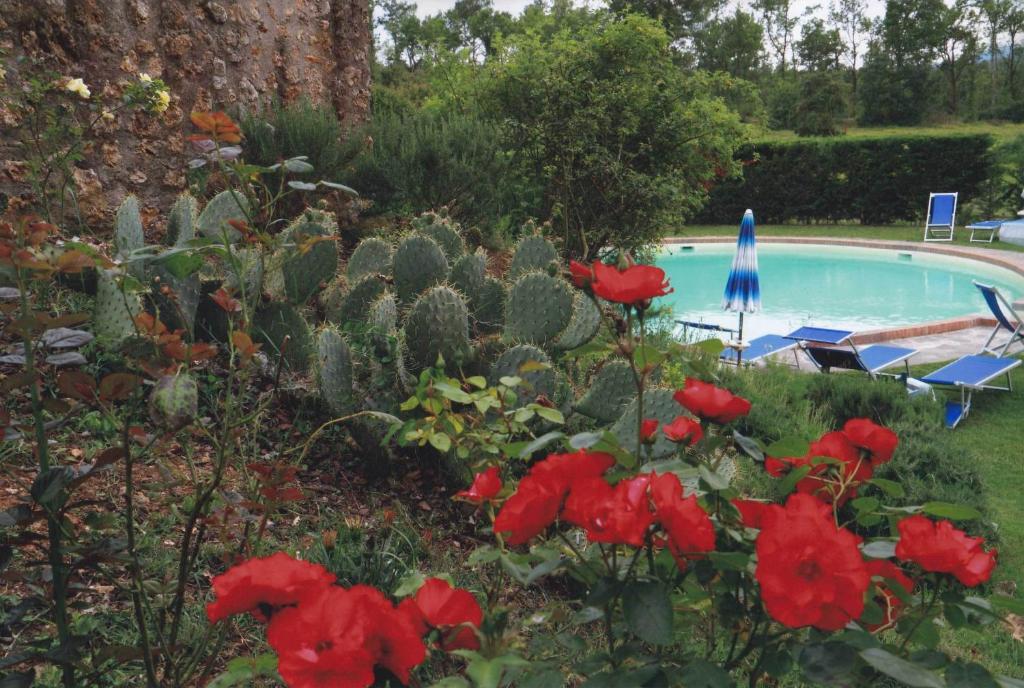 Agriturismo La Selva Сиена Экстерьер фото
