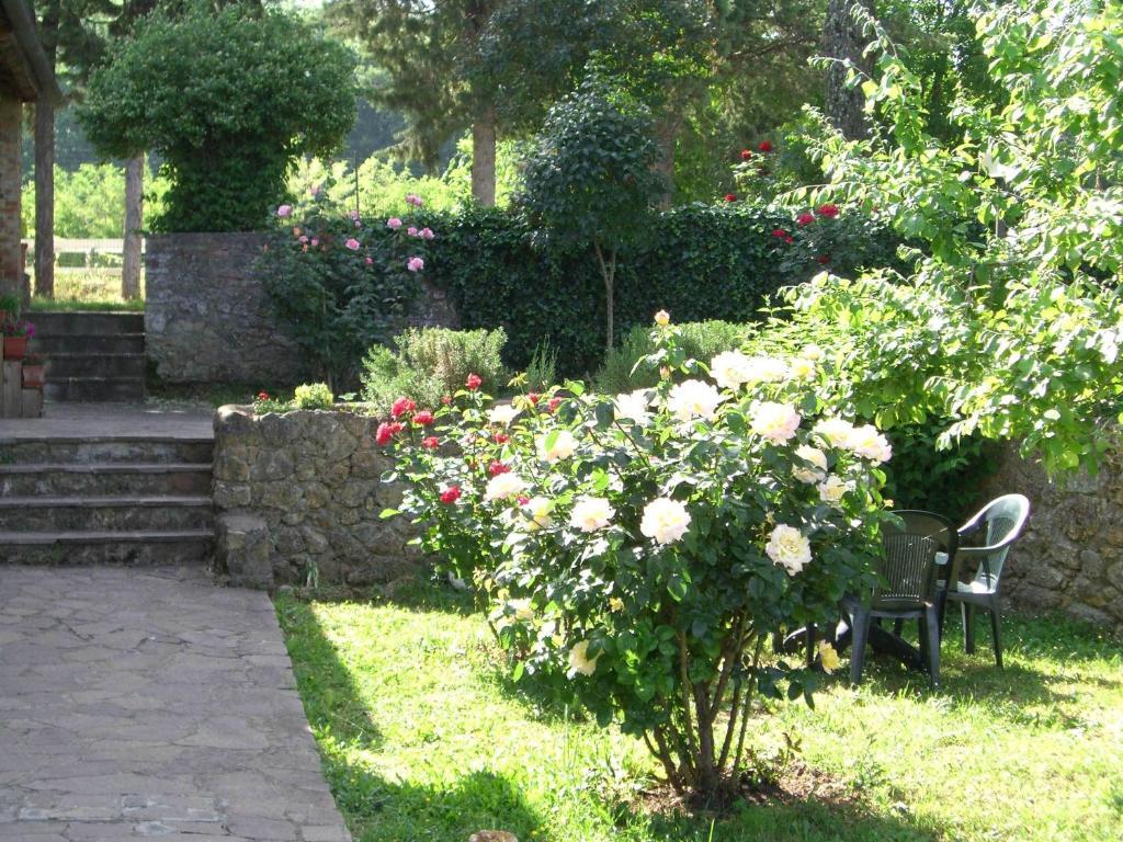 Agriturismo La Selva Сиена Экстерьер фото