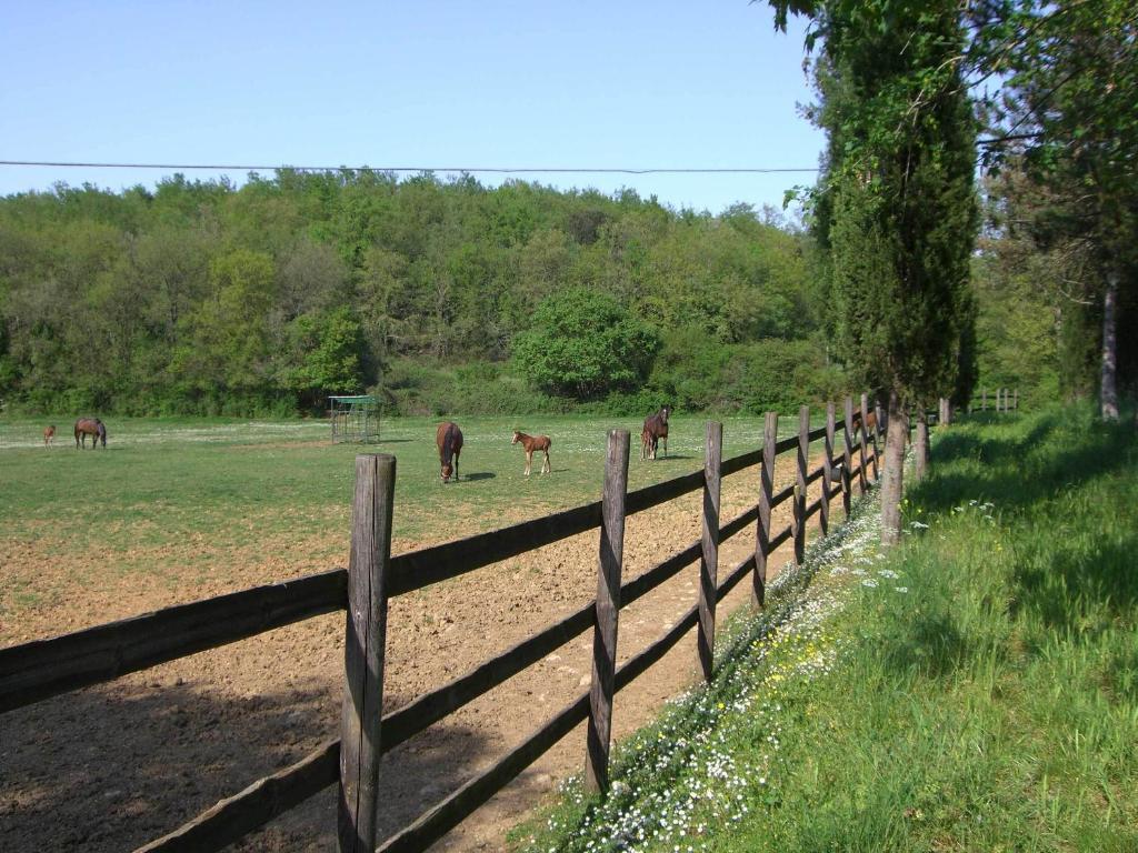 Agriturismo La Selva Сиена Экстерьер фото